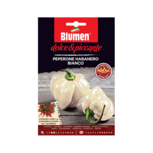 Habanero Bianco Καυτερή Πιπεριά