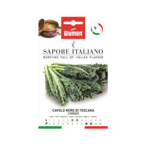 Λαχανίδα Σγουρή Kale – Nero Di Toscana