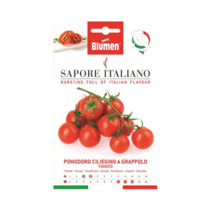 Τοματίνι Τσαμπί Ciliegino A Grappolo