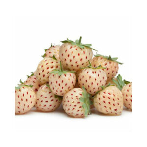 Φράουλα Άσπρη Pineberry
