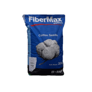 Ποικιλία Βαμβακιού FiberΜax Celia
