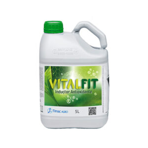 Vitalfit