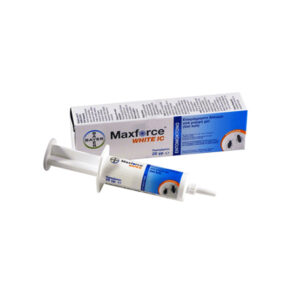 Eντομοκτόνο για κατσαρίδες Maxforce White IC 20 gr